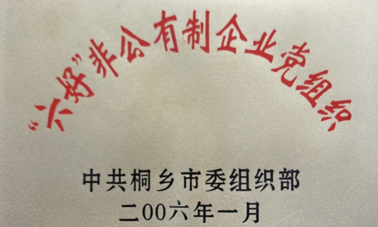 桐乡视装六好”非公有造企业党组织