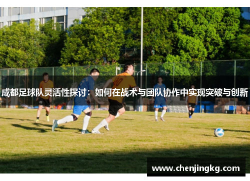 成都足球队灵活性探讨：如何在战术与团队协作中实现突破与创新