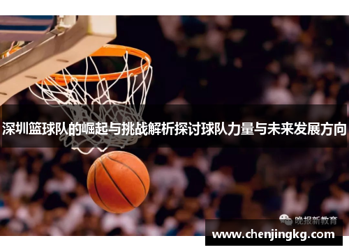 深圳篮球队的崛起与挑战解析探讨球队力量与未来发展方向